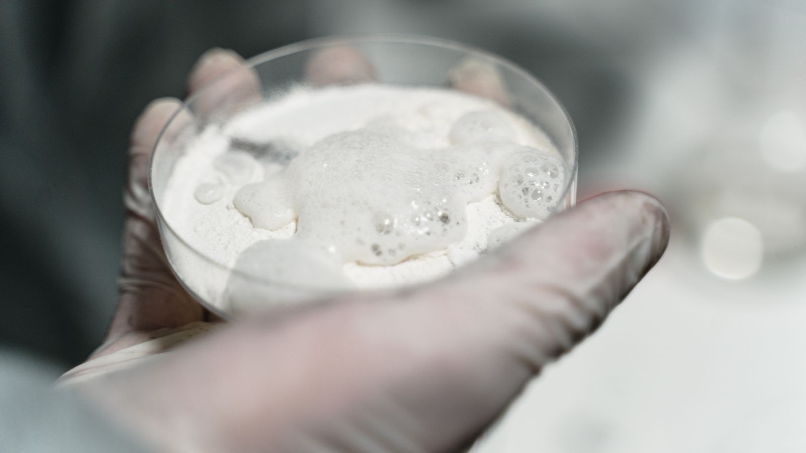 A gloved hand in a lab setting holds a petri dish containing a foamy substance under close examination.